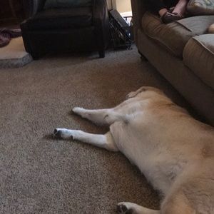 Meet your Posher, Claire